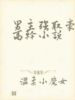 男主强取豪夺的高干小说