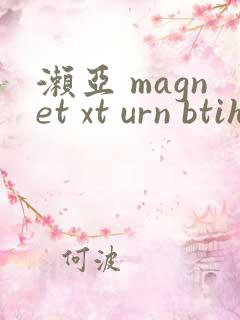 濑亚 magnet xt urn btih
