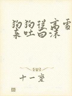 狗狗从高处摔下来吐白沫