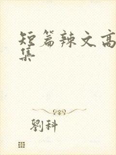 短篇辣文高h合集