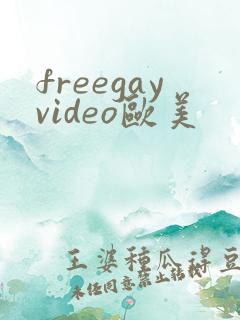 freegayvideo欧美