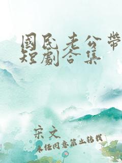 国民老公带回家短剧合集