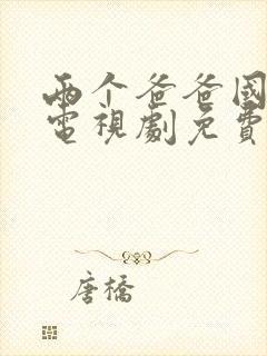 两个爸爸国语版电视剧免费观看