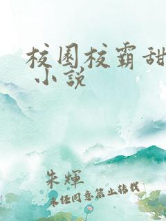 校园校霸甜宠文 小说