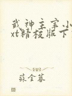 武神主宰小说txt精校版下载