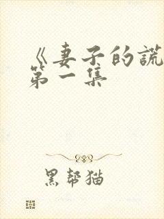 《妻子的谎言》第一集