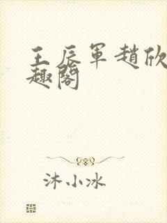 王辰军赵欣雅笔趣阁