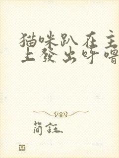 猫咪趴在主人身上发出呼噜呼噜声音