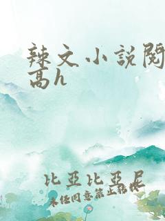 辣文小说阅读网高h