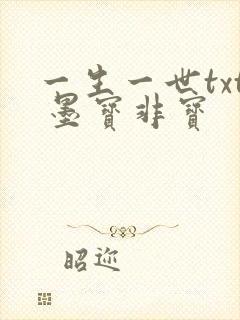 一生一世txt 墨宝非宝