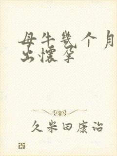 母牛几个月能看出怀孕