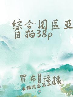 综合图区亚洲偷自拍38p