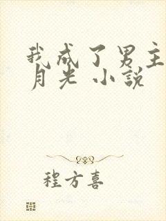 我成了男主的白月光 小说