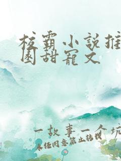 校霸小说推荐校园甜宠文