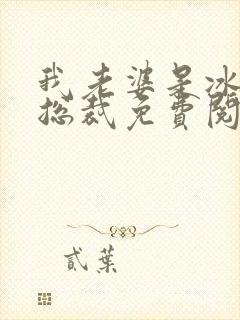 我老婆是冰山女总裁免费阅读全文