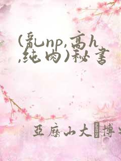 (乱np,高h,纯肉)秘书