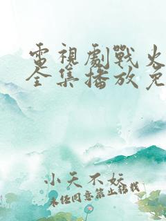 电视剧战火英雄全集播放免费观看