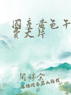 国产黄色午夜免费大片