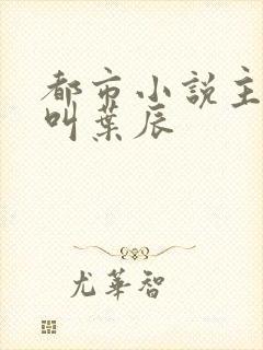 都市小说主人公叫叶辰