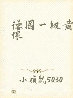 德国一级黄色录像