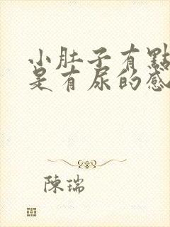 小肚子有点胀总是有尿的感觉