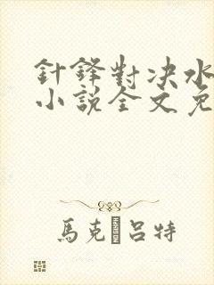 针锋对决水千丞小说全文免费