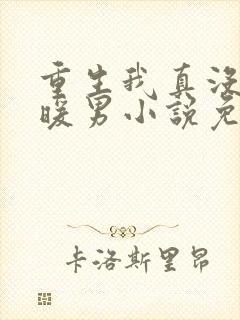 重生我真没想当暖男小说免费阅读