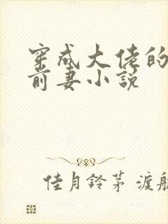 穿成大佬的私奔前妻小说