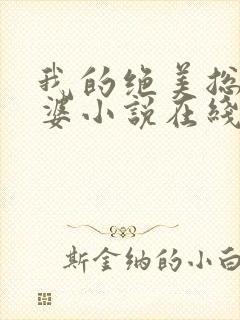 我的绝美总裁老婆小说在线阅读