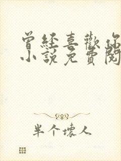 曾经喜欢你的我小说免费阅读