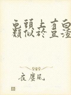 龟头上有白色得类似于豆渣得东西