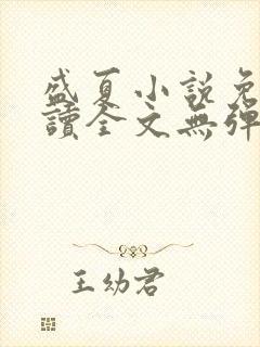 盛夏小说免费阅读全文无弹窗