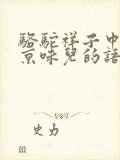 骆驼祥子中具有京味儿的语句