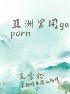 亚洲男同gayporn