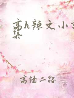 高h辣文小说合集