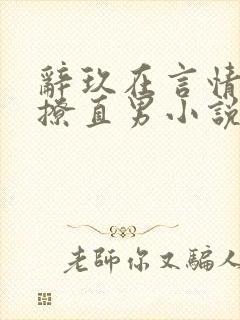 辞玖在言情文里撩直男小说
