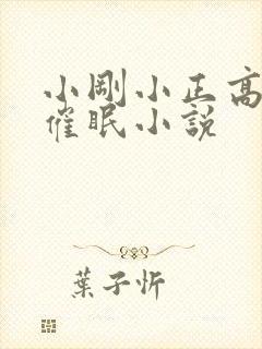 小刚小正高筱柔催眠小说
