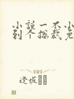 小说一不小心捡到个总裁免费阅读