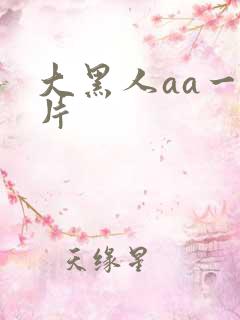 大黑人aa一级片