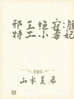 邪王绝宠:腹黑特工小毒妃小说