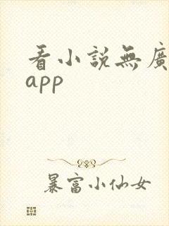 看小说无广告的app