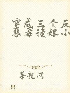 穿成三个反派的恶毒后娘小说