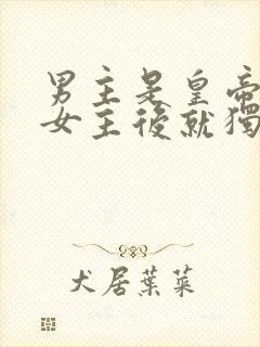 男主是皇帝遇见女主后就独宠