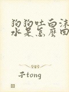 狗狗吐白沫和黄水是怎么回事