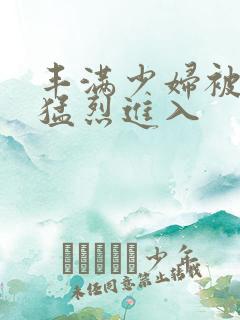 丰满少妇被猛男猛烈进入