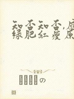 知否知否,应是绿肥红瘦原著小说