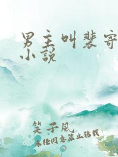 男主叫裴寄言的小说