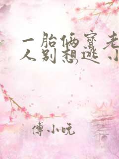 一胎俩宝老婆大人别想逃 小说