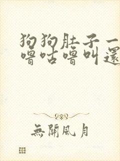 狗狗肚子一直咕噜咕噜叫还吐黄水