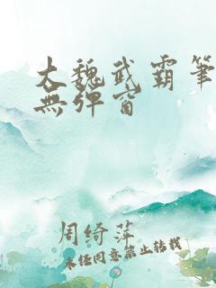 大魏武霸笔趣阁无弹窗